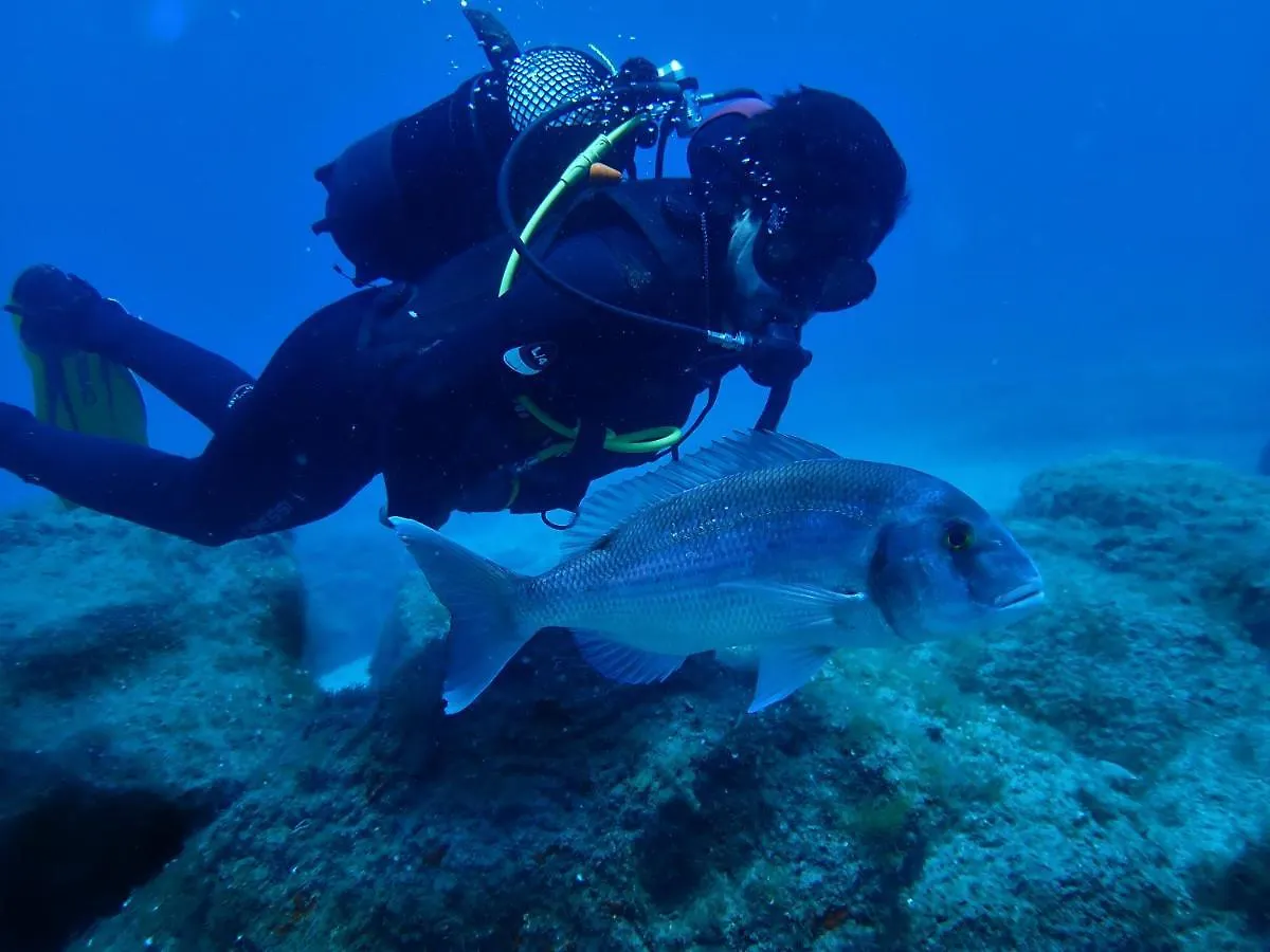 אכסניה ארונה Dive Resort Ocean Dreams